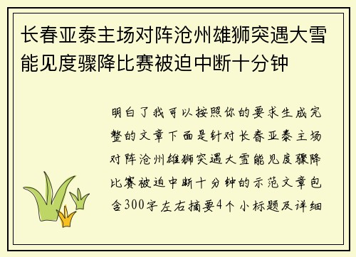 长春亚泰主场对阵沧州雄狮突遇大雪能见度骤降比赛被迫中断十分钟